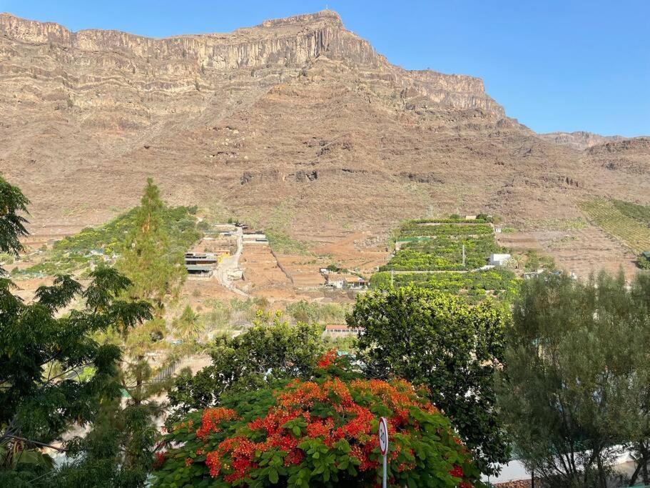 Apartment Cycling Holiday, 11 Km From Arguineguin *
